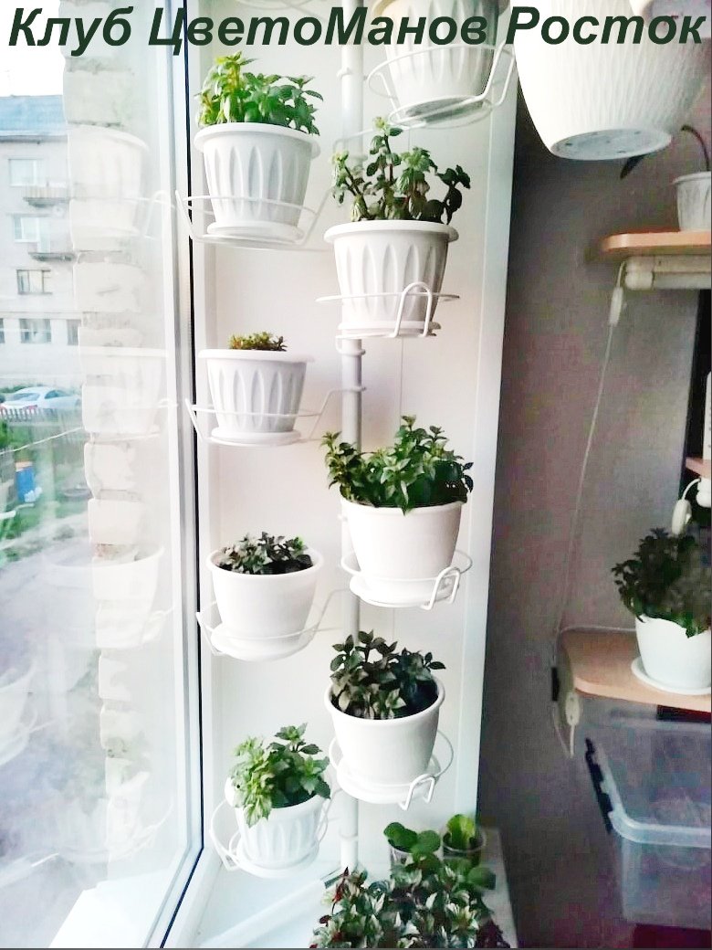 подставка на окно угловая металлическая с ножками. Фото N41