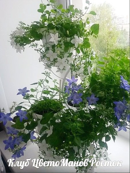 Подставка для цветов металлическая наоконная. Фото N11